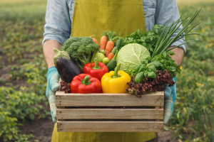 Fresh Vegetables in Crate Mobile Wallpaper Organic Food Harvest