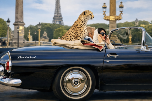 In Paris Iconic Image Colored Thunderbird Car with Cheetah, Julian Lauren Wallpaper