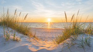 Golden Sunset Over Serene Beach