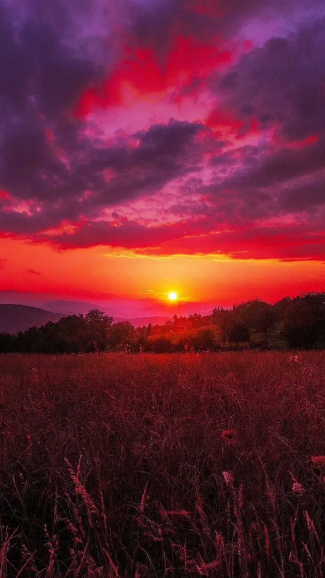 Stunning Red Sunset Over Field with Glowing Sky - Free Mobile Wallpaper