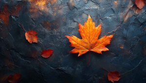 Autumn Leaves Wallpaper, Fall Season, 4K Wallpaper for Desktop