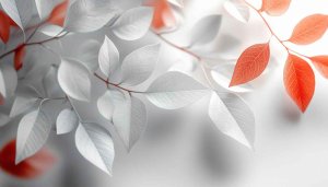 Autumn Leaves Wallpaper: White and Orange Leaves High Resolution