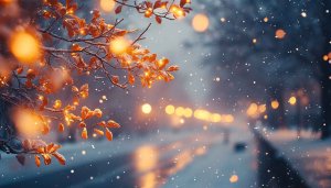 Winter Wallpaper: Snowfall, Bokeh Lights, and Snowy Branches Desktop