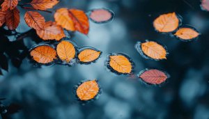Autumn Leaves Floating on Water Aesthetic Mobile Wallpaper Background