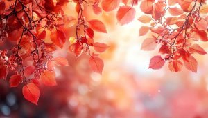 Autumn Red Leaves Desktop Background - Free Mobile Fall Wallpaper