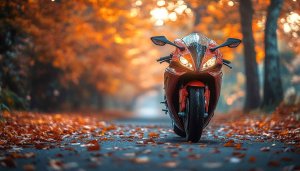 Red Motorcycle Autumn Leaves Road 4K Desktop Mobile Wallpaper