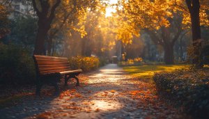 Golden Autumn Park Bench Scenic Mobile and Desktop Wallpaper