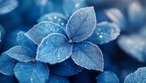 Icy Blue Leaves Mobile Wallpaper | Free Winter Desktop Background