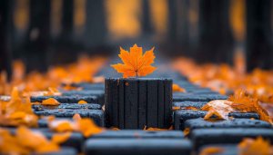 Autumn Maple Leaf Mobile Wallpaper, Aesthetic Fall Season Background