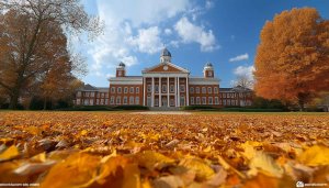 Autumn Campus Leaves 4K Desktop Wallpaper, Free Fall Season Background