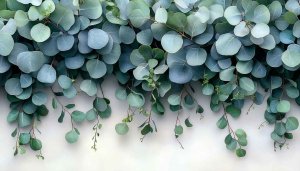 Eucalyptus Leaves Desktop Wallpaper, Botanical Mobile Background, Green Plant Decor