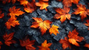 Autumn Maple Leaves Background 4K Desktop Wallpaper Free