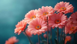 Pink Gerbera Flower Mobile Wallpaper, Floral Desktop Backgrounds Free