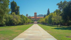 University Campus Building Desktop Background Trees Summer Wallpaper