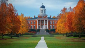 Beautiful Campus Building Fall Season Mobile and Desktop Wallpaper